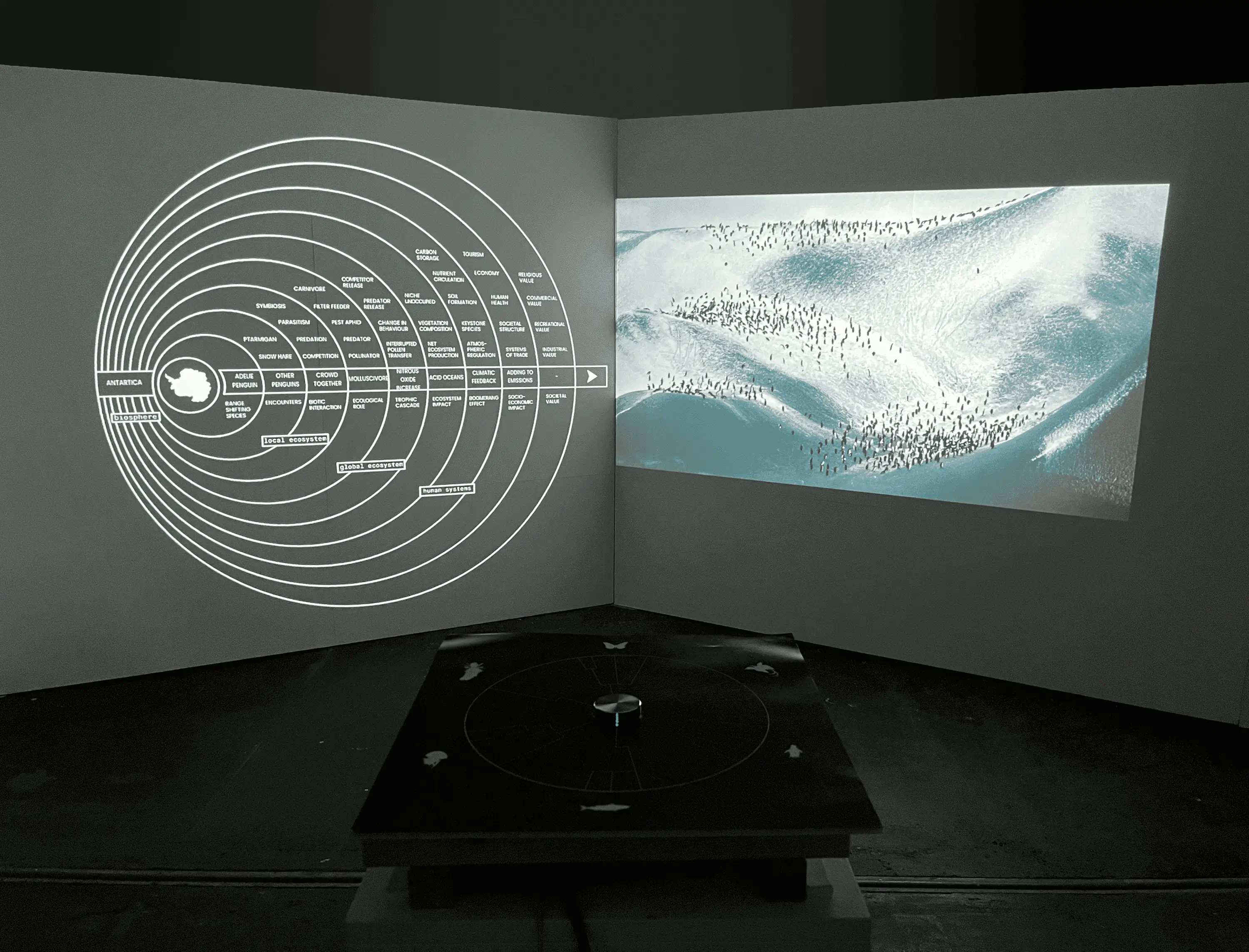 turning eco gears ©sophie falkeis