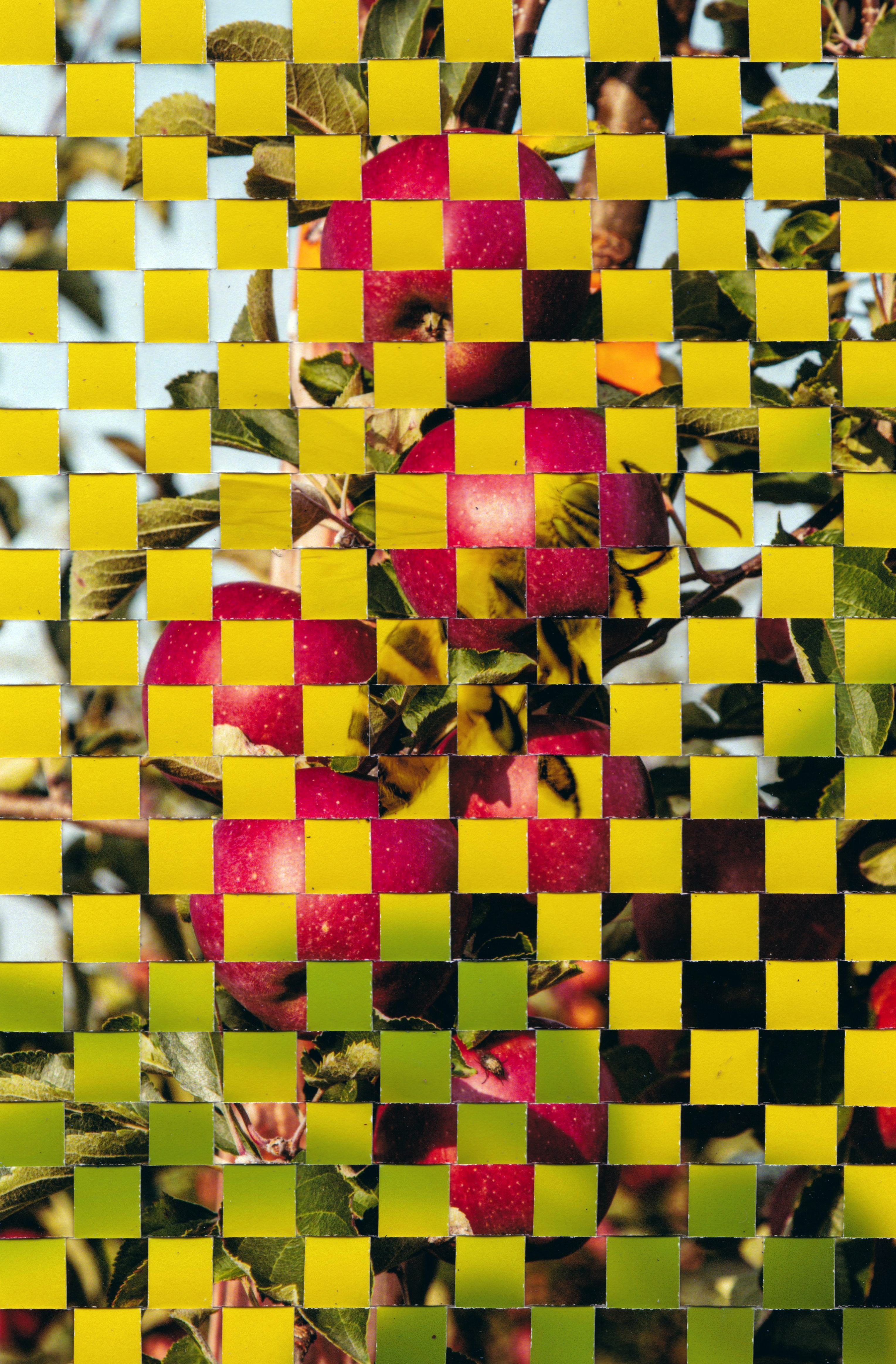 Biene Apfel von Michelle Kohler