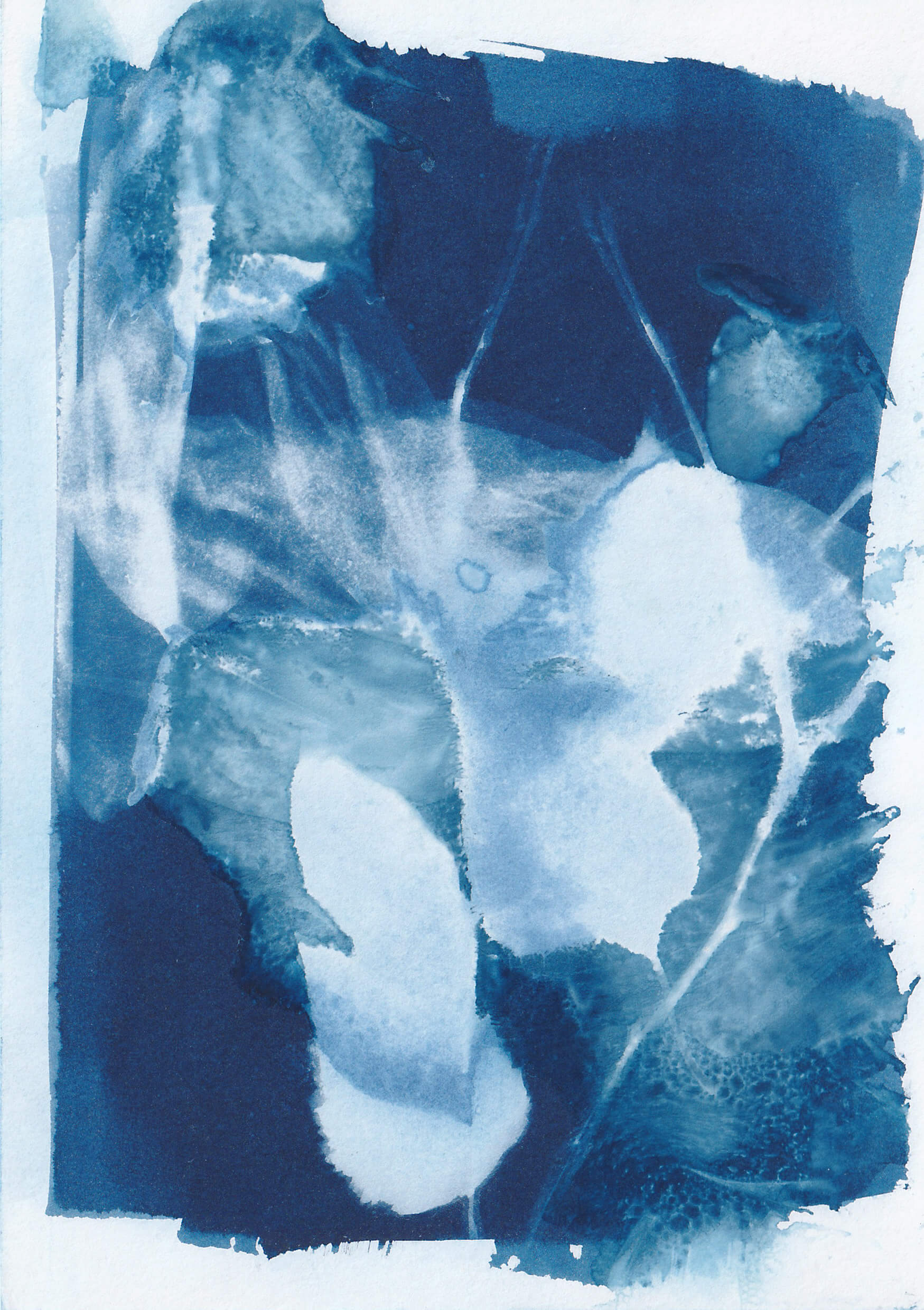 Cyanotypie Mansing Tang