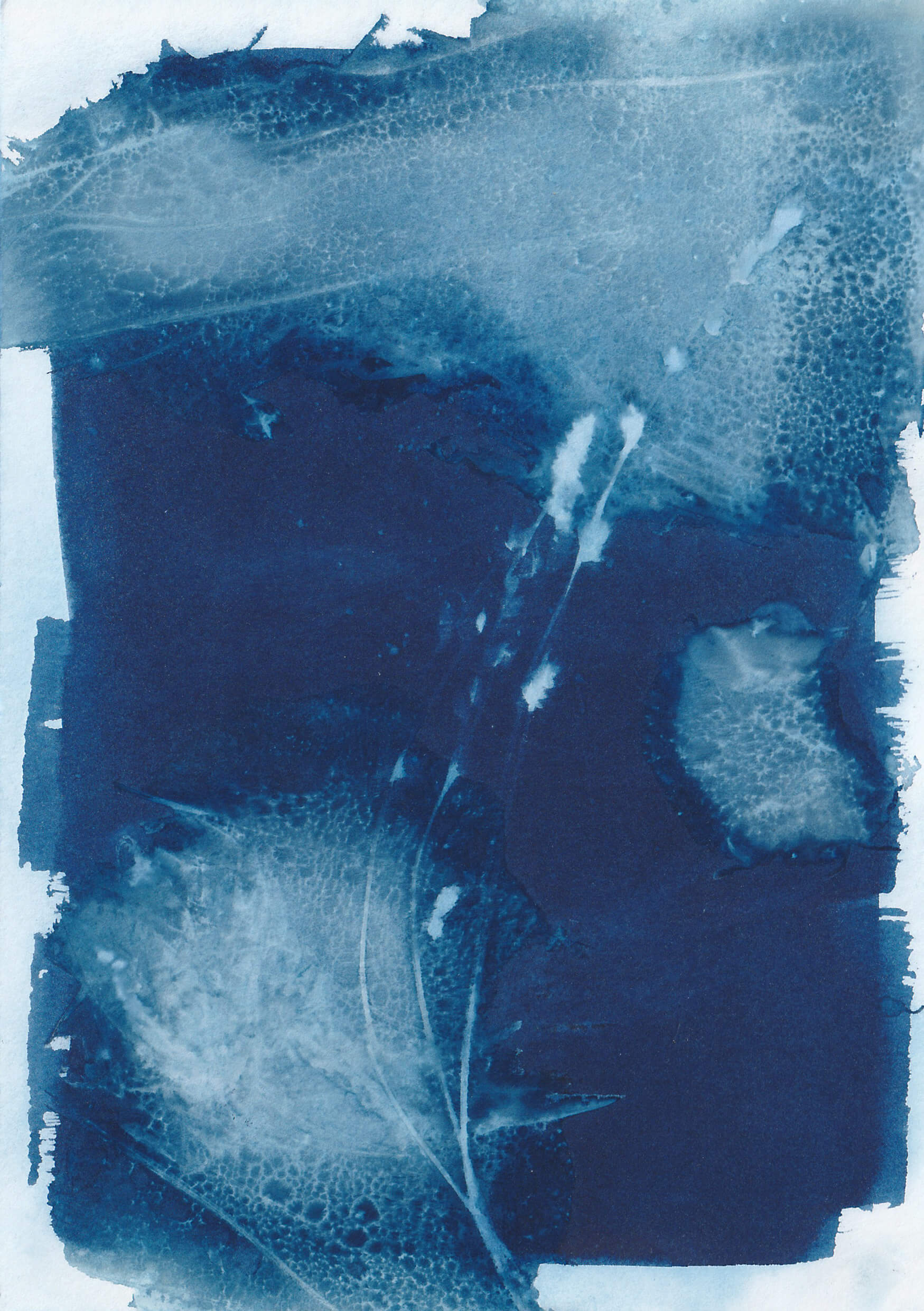 Cyanotypie Mansing Tang