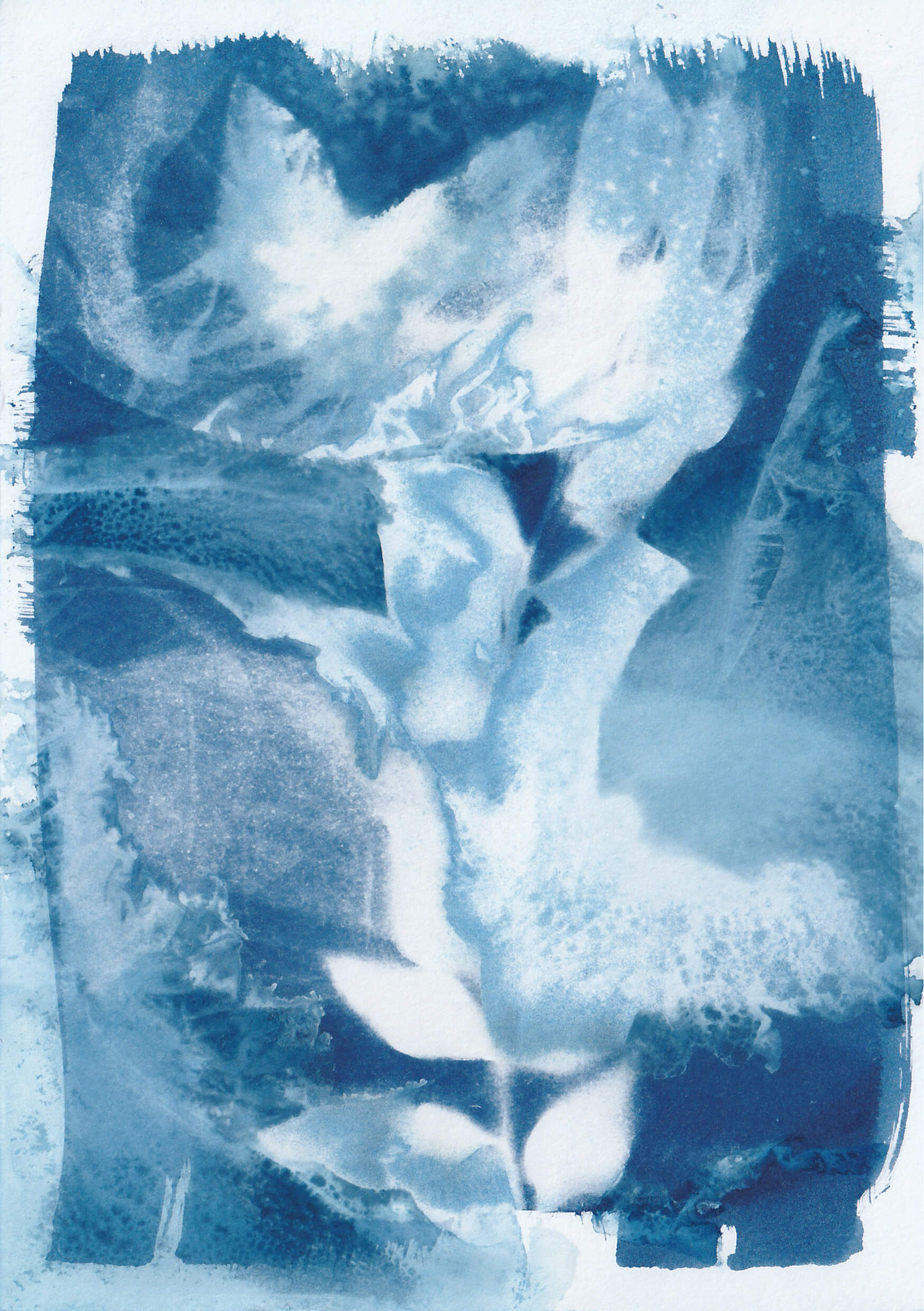 Cyanotypie Mansing Tang