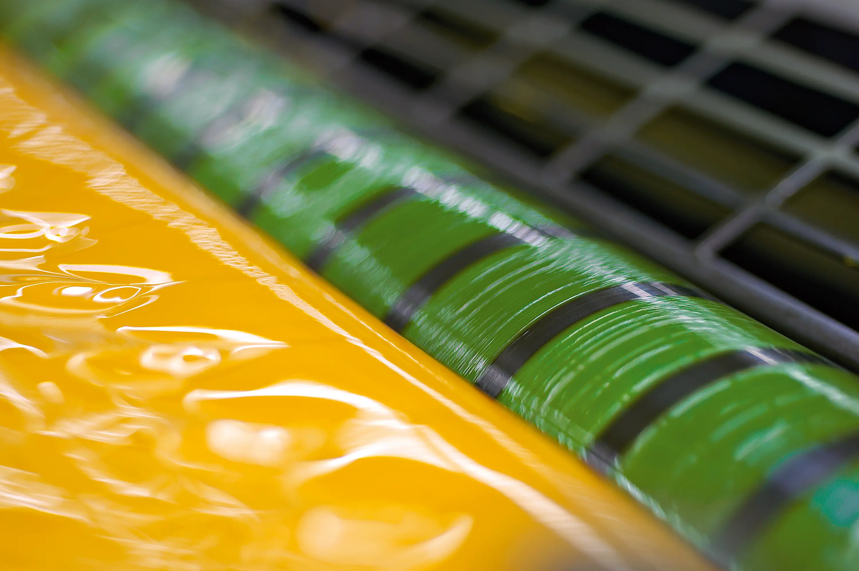 echoezine Emerald Cradle to Cradle Gold