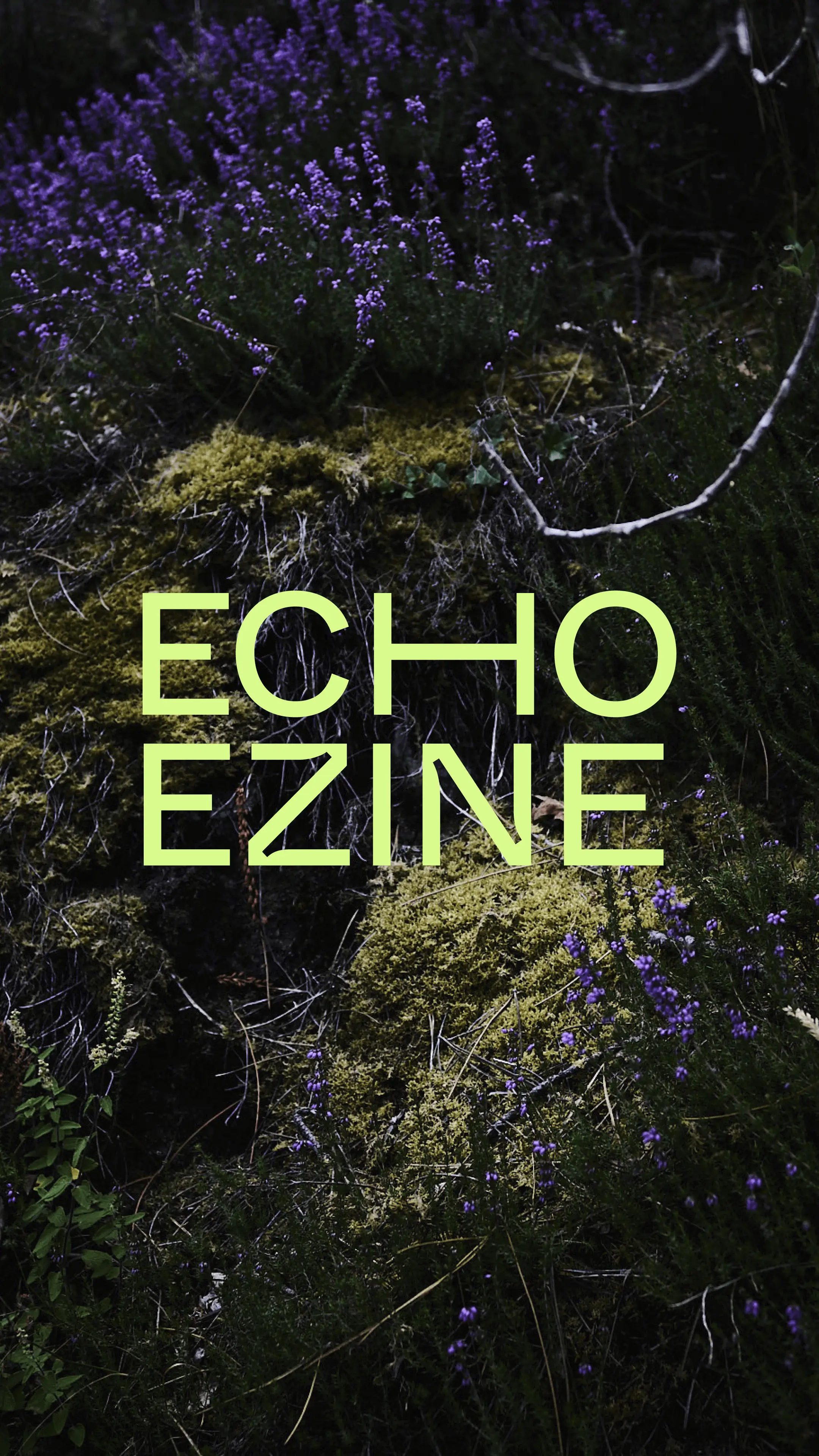 echoezine Platzhalter und Logo