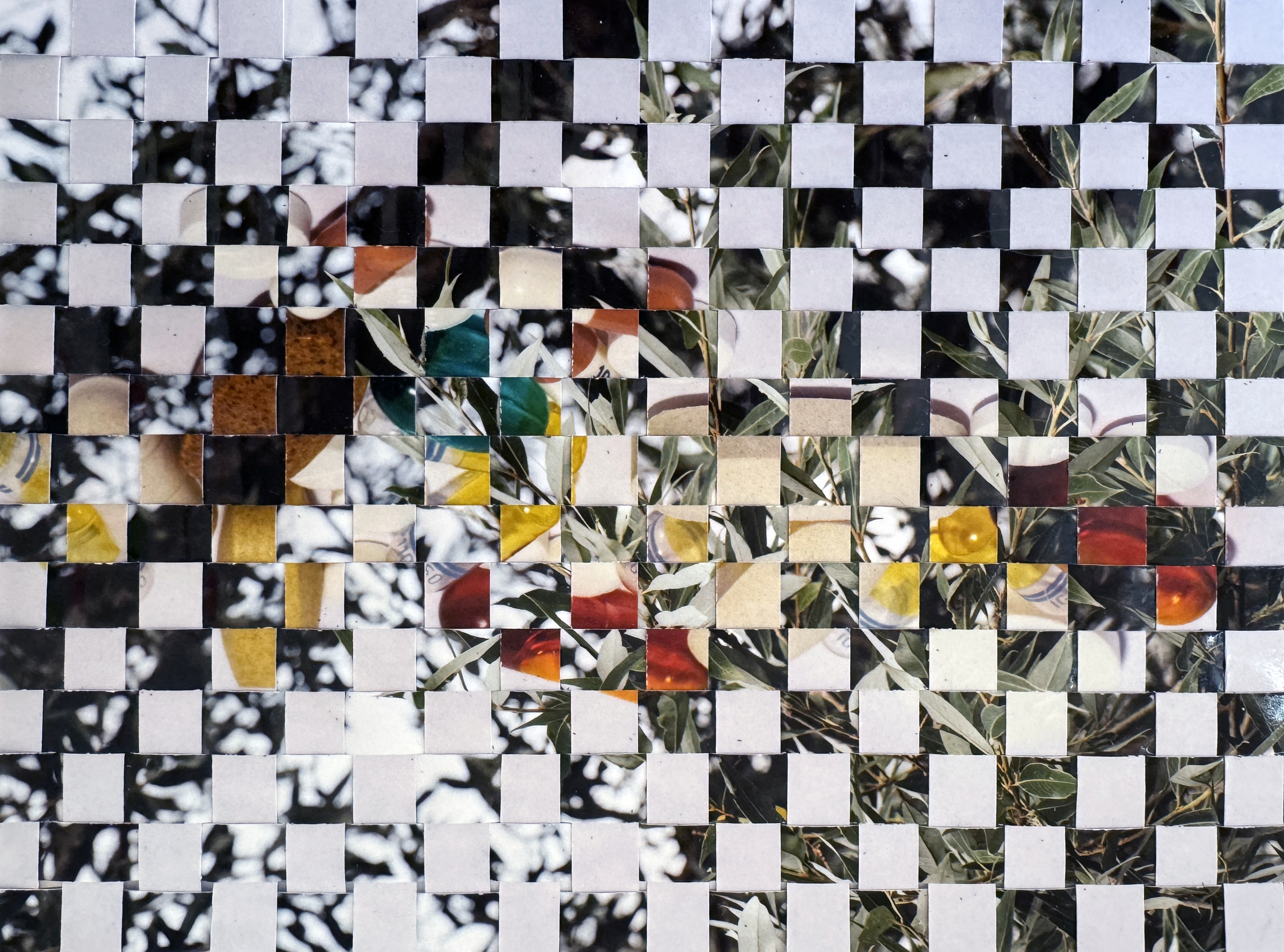 Weide Pillen von Michelle Kohler